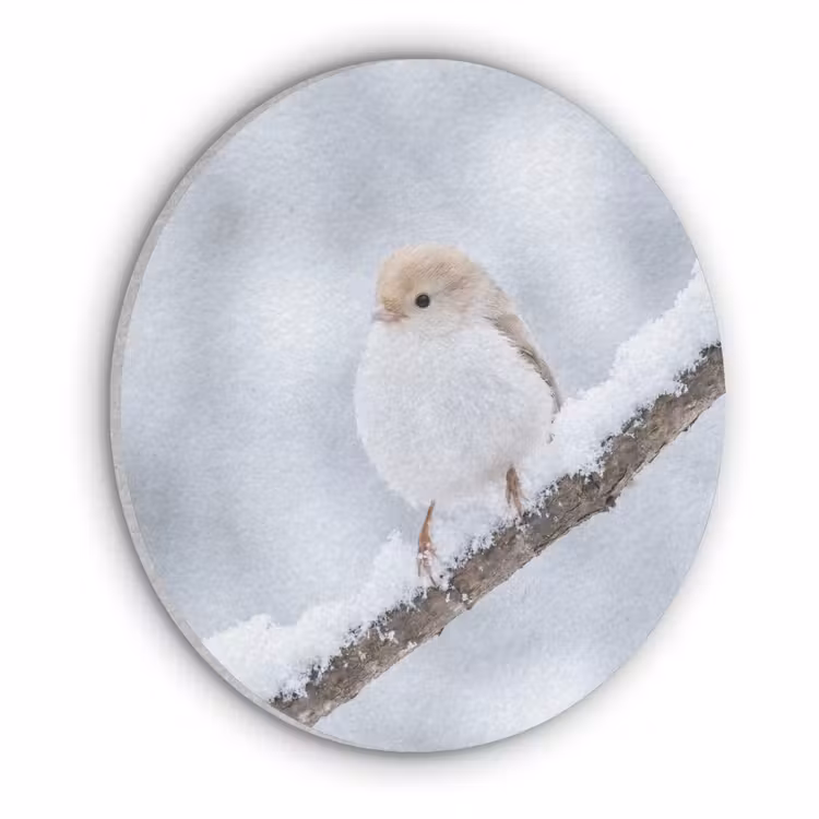Vogeltje - Sneeuw - Tak - Winter - Zacht Akoestische PET Vilt - Rond klein -3d