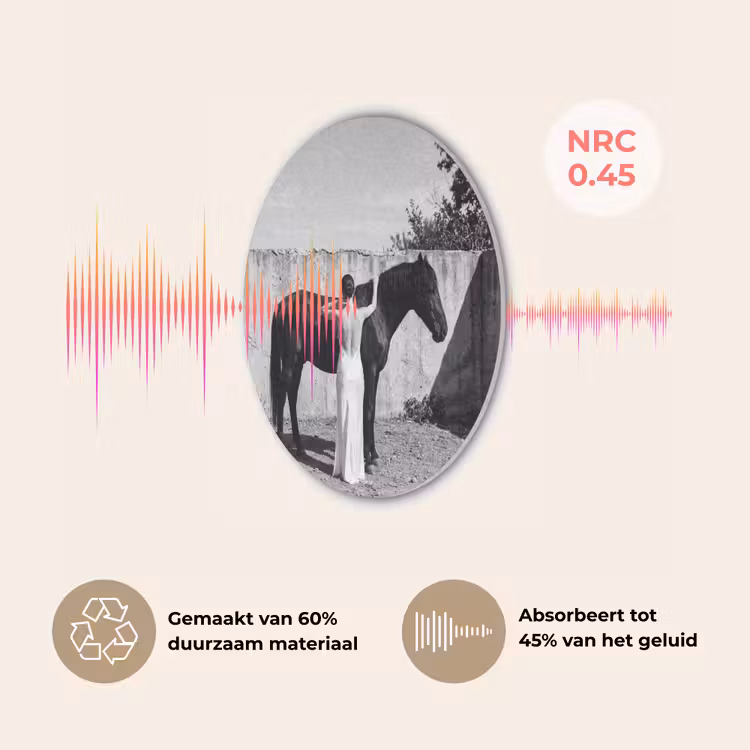 Vrouw - Paard - Artistiek Akoestische PET Vilt - Rond klein -USP_NL