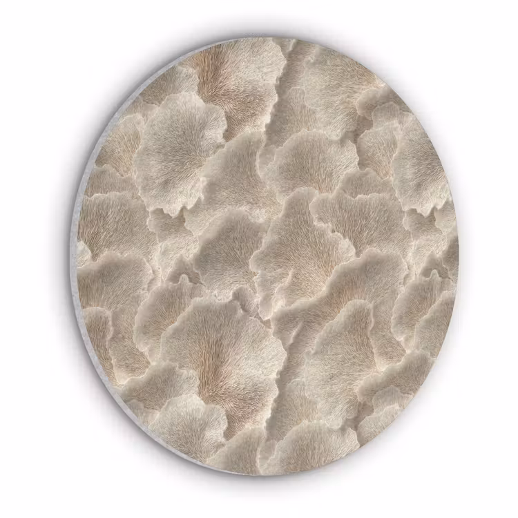 Waaierstructuren - Beige - Vezeltextuur Akoestische PET Vilt - Rond klein 838 -3d