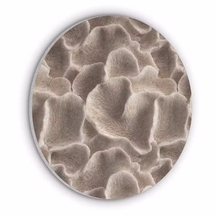 Waaiervorm - Beige - Vezel textuur Akoestische PET Vilt - Rond klein 838 -3d