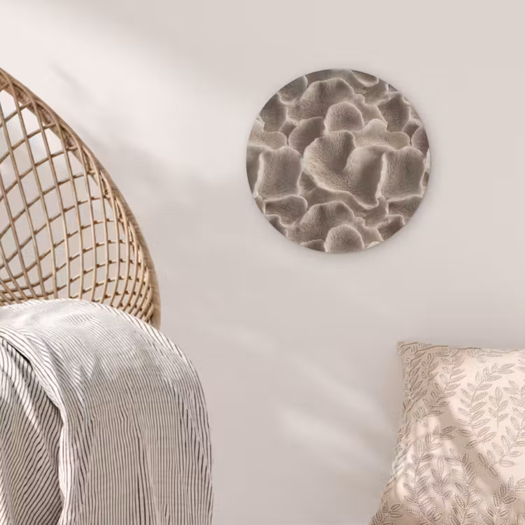 Waaiervorm - Beige - Vezel textuur Akoestische PET Vilt - Rond klein 838 -sfeer4