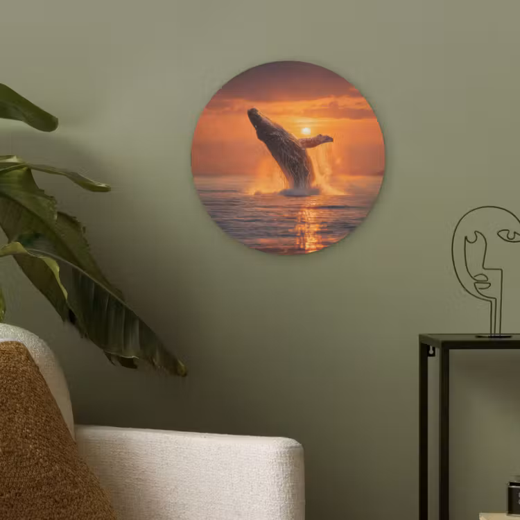 Walvis - Zon - Zee Akoestische PET Vilt - Rond klein -sfeer2