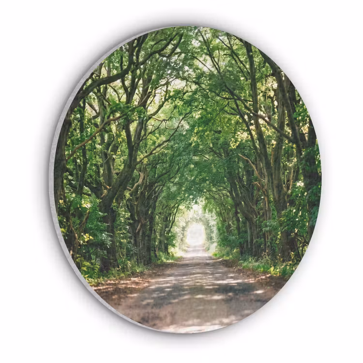 Weg - Bomen - Natuur - Groen Akoestische PET Vilt - Rond klein -3d