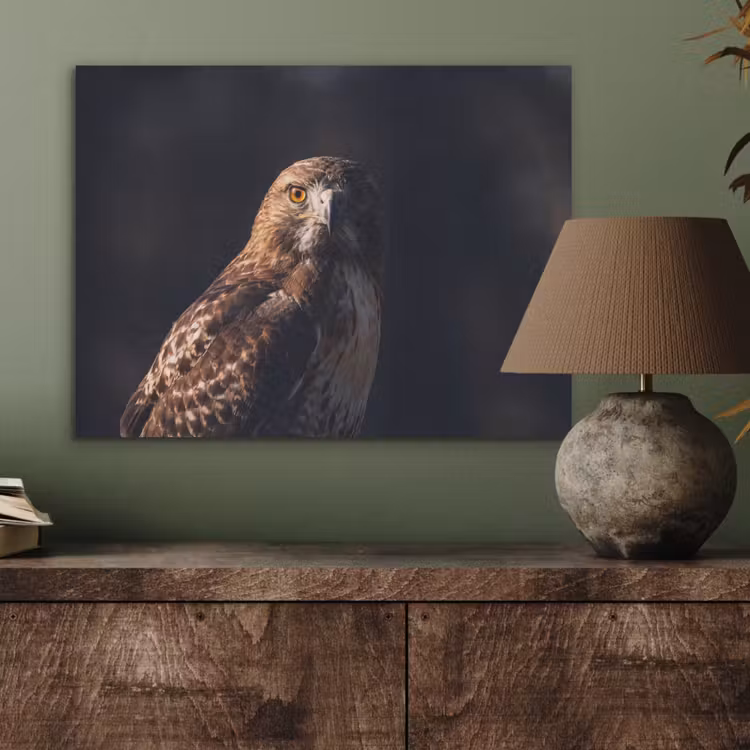 Roofvogel - Buizerd - Bruin PET vilt klein -sfeer2