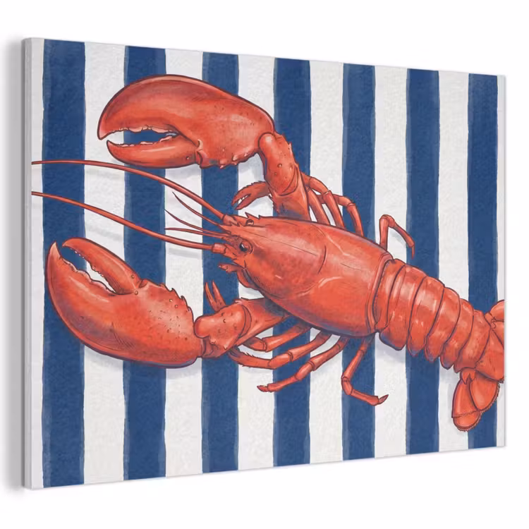 Schaaldier - Kreeft - Marine - Illustratie - Rood PET vilt klein -3d
