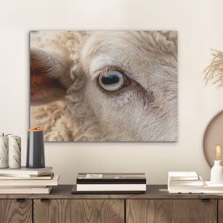 Schaap - Oog - Wit PET vilt klein -sfeer1