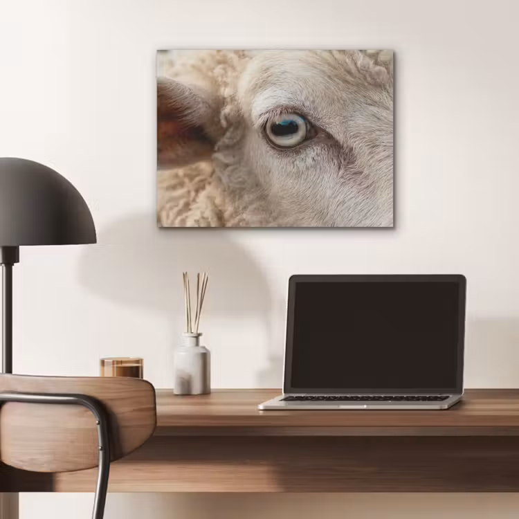 Schaap - Oog - Wit PET vilt klein -sfeer5
