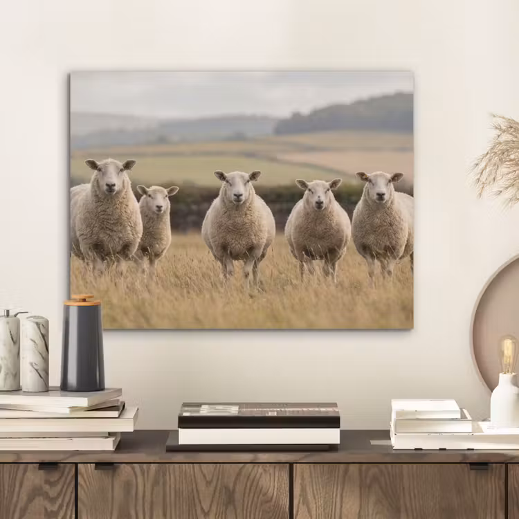 Schapen - Weidenlandschap - Heuvels PET vilt klein -sfeer1