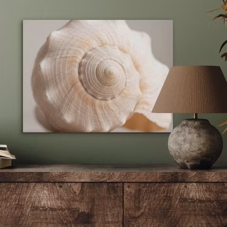 Schelp - Detail - Beige PET vilt klein -sfeer2