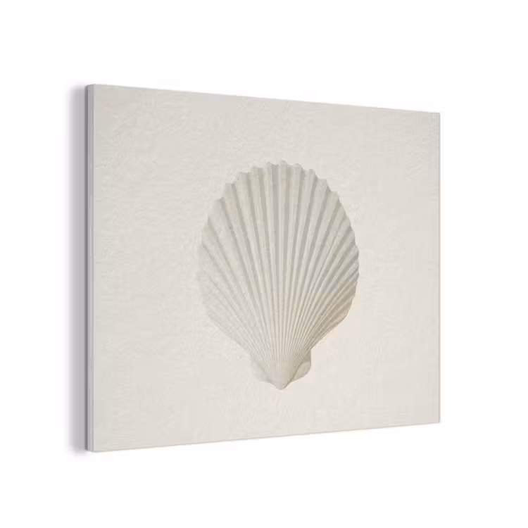 Schelp - Minimalistisch - Wit PET vilt klein -3d