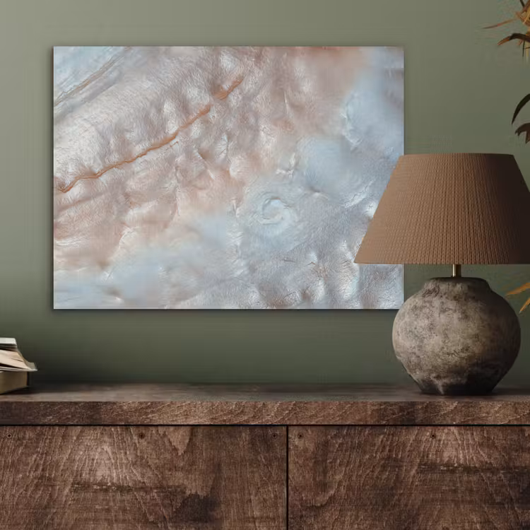Schelpen - Abstract - Natuur PET vilt klein -sfeer2