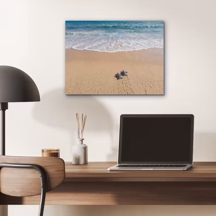 Schildpad - Jong - Strand - Oceaan - Blauw PET vilt klein -sfeer5
