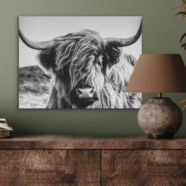 Schotse hooglander - Close up - Horens - Vacht - Zwart Wit PET vilt klein -sfeer2