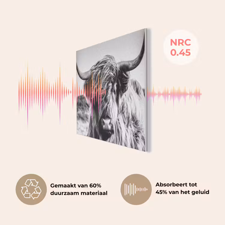 Schotse hooglander - Close up - Horens - Vacht - Zwart Wit PET vilt klein -USP_NL