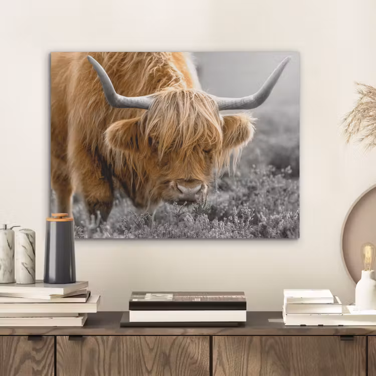 Schotse Hooglander - Dieren - Bruin - Koe - Zwart - Wit - Natuur PET vilt klein -sfeer1