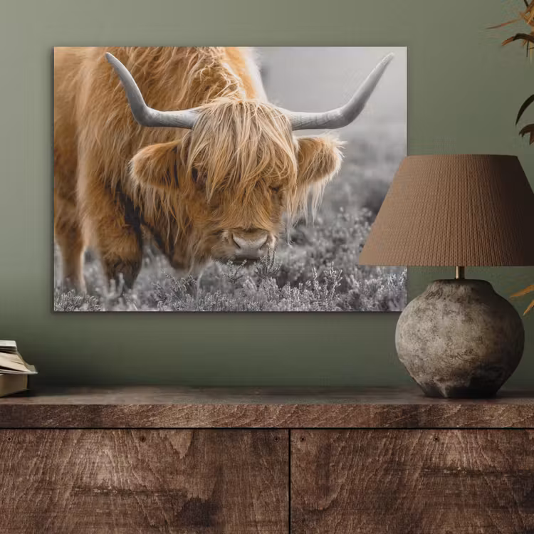 Schotse Hooglander - Dieren - Bruin - Koe - Zwart - Wit - Natuur PET vilt klein -sfeer2
