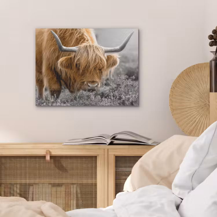 Schotse Hooglander - Dieren - Bruin - Koe - Zwart - Wit - Natuur PET vilt klein -sfeer3