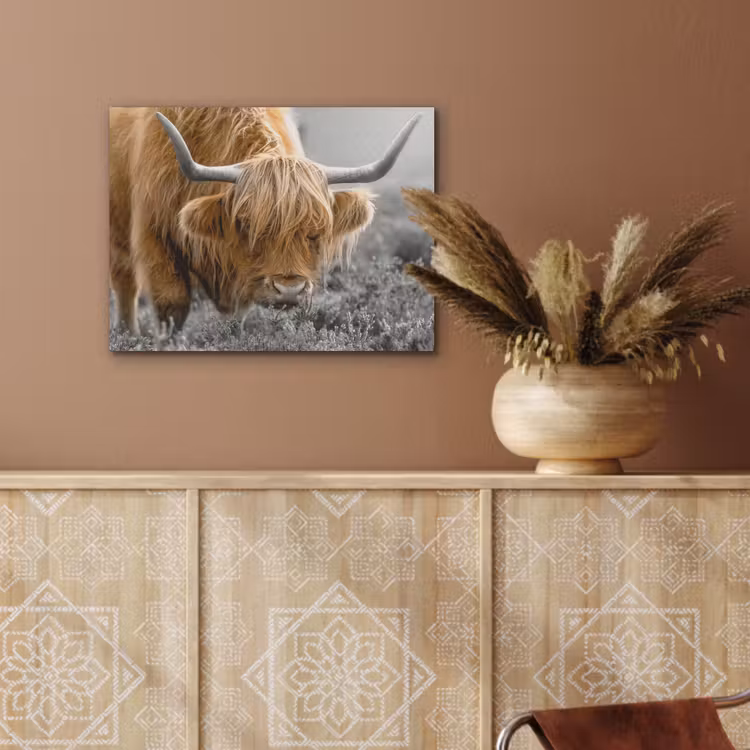 Schotse Hooglander - Dieren - Bruin - Koe - Zwart - Wit - Natuur PET vilt klein -sfeer4