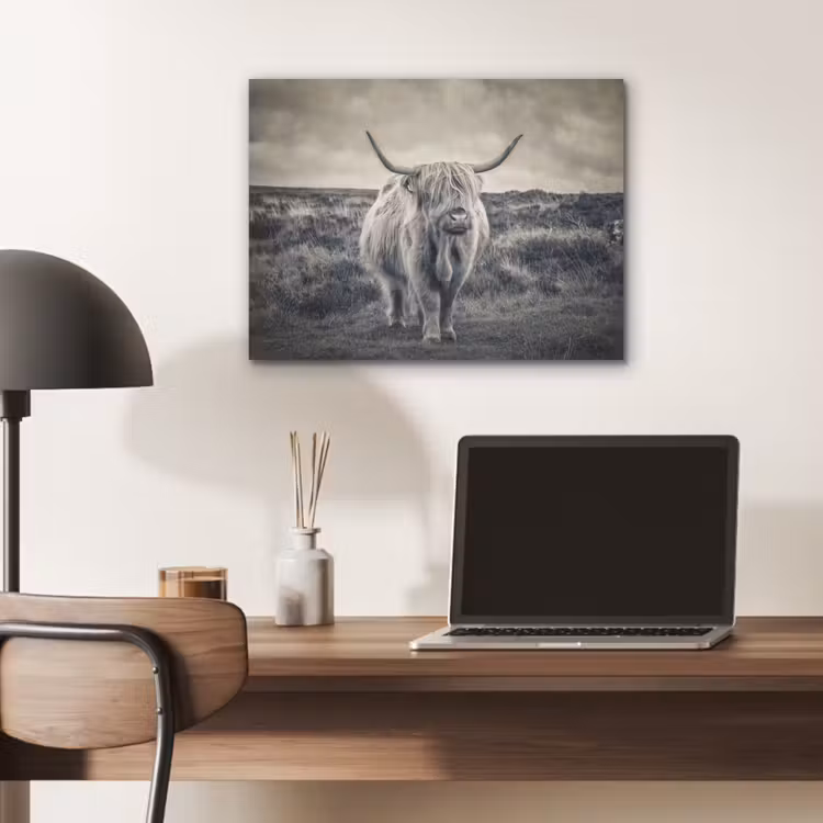 Schotse hooglander - Dieren - Wolken - Koe - Natuur PET vilt klein -sfeer5