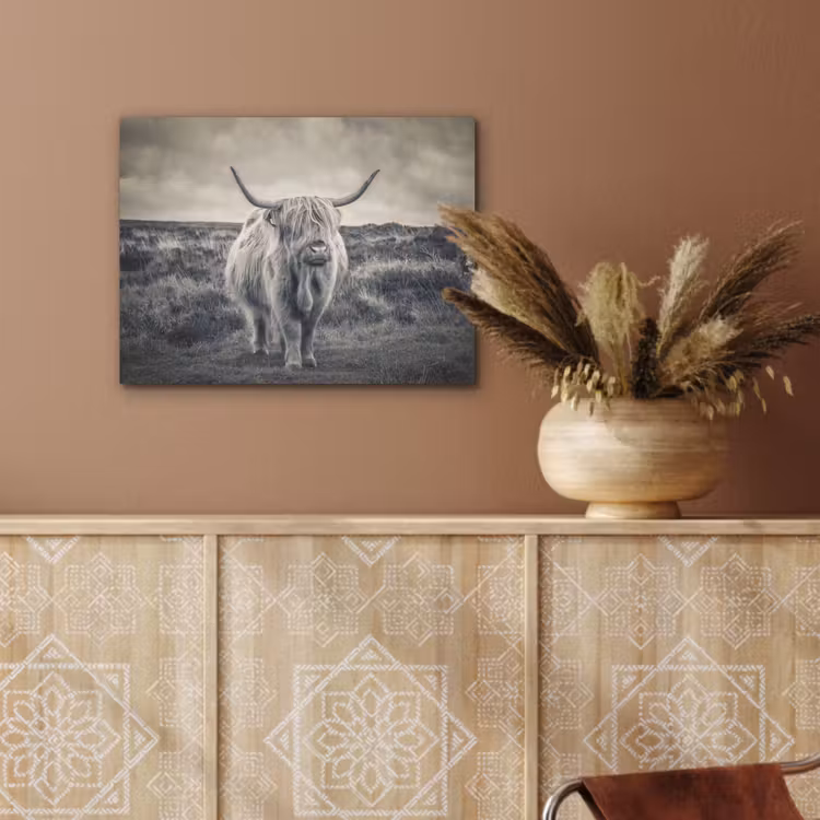 Schotse hooglander - Dieren - Wolken - Koe - Natuur PET vilt klein -sfeer4