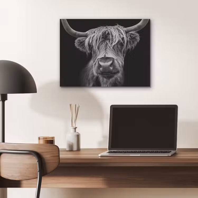 Schotse Hooglander - Horens - Zwart - Wit - Koe - Wild - Dieren PET vilt klein -sfeer5