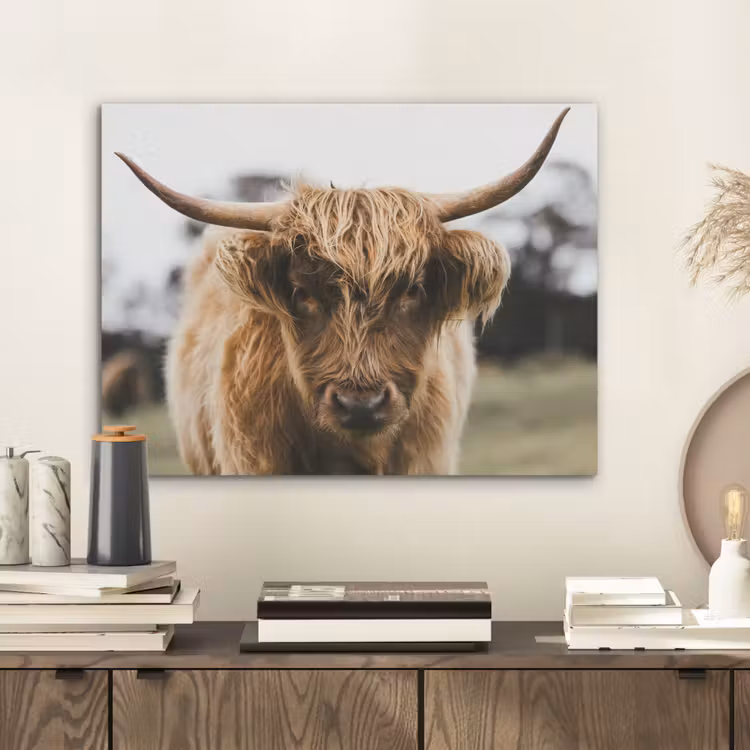 Schotse Hooglander -  Koe - Gras - Dieren - Natuur PET vilt klein -sfeer1