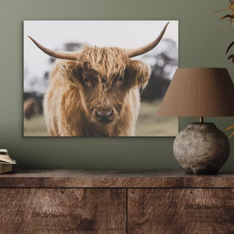 Schotse Hooglander -  Koe - Gras - Dieren - Natuur PET vilt klein -sfeer2