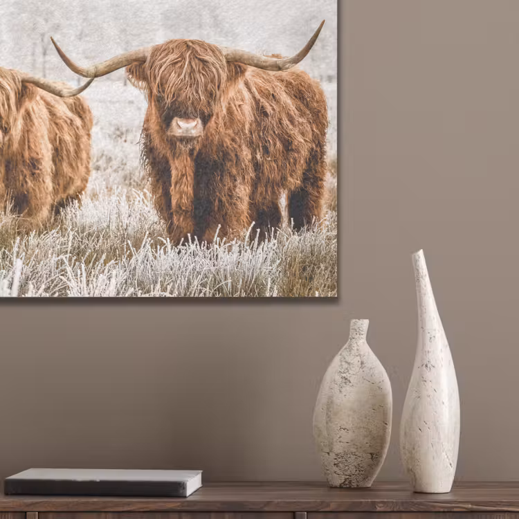 Schotse hooglander - Koe - Natuur - Winter PET vilt klein -sfeer6_closeup