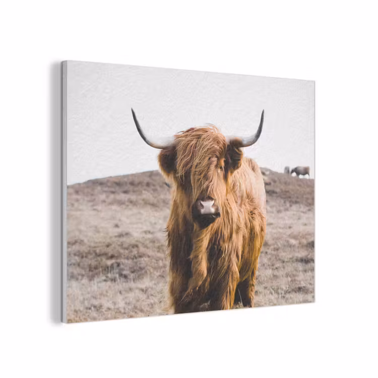 Schotse hooglander - Landschap - Koe - Bruin - Dieren - Natuur PET vilt klein -3d