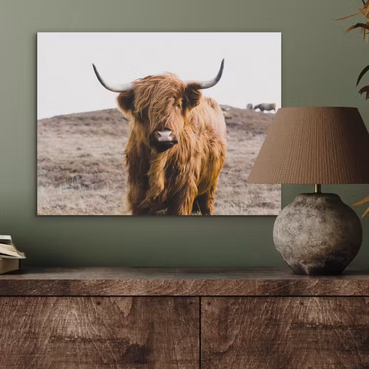Schotse hooglander - Landschap - Koe - Bruin - Dieren - Natuur PET vilt klein -sfeer2