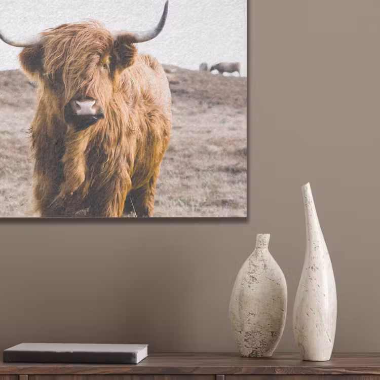 Schotse hooglander - Landschap - Koe - Bruin - Dieren - Natuur PET vilt klein -sfeer6_closeup