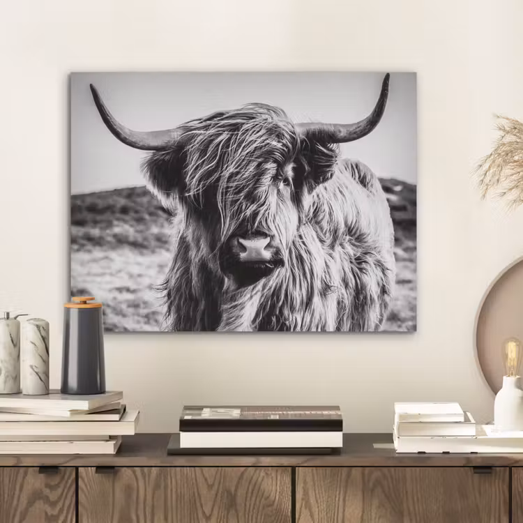 Schotse hooglander - Natuur - Koe - Zwart - Wit PET vilt klein -sfeer1