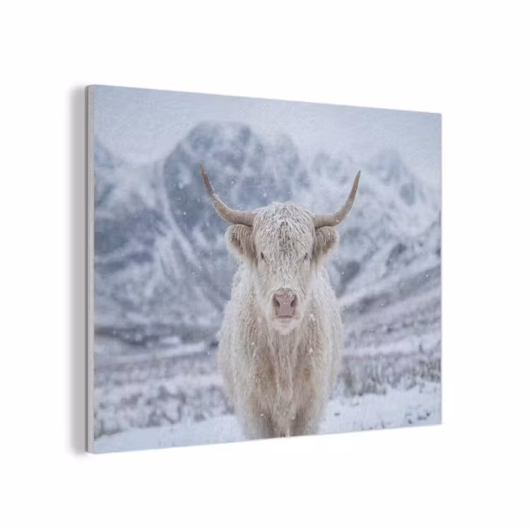 Schotse Hooglander - Sneeuw - Bergen - Winter PET vilt klein -3d