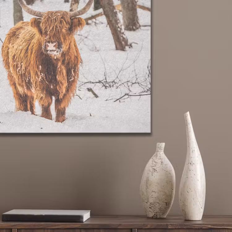 Schotse Hooglander - Sneeuw - Winter - Natuur - Dieren PET vilt klein -sfeer6_closeup