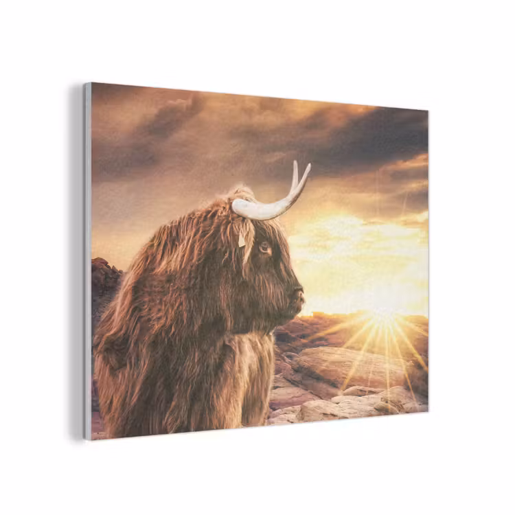Schotse hooglander - Zon - Horizon - Koe - Dieren PET vilt klein -3d