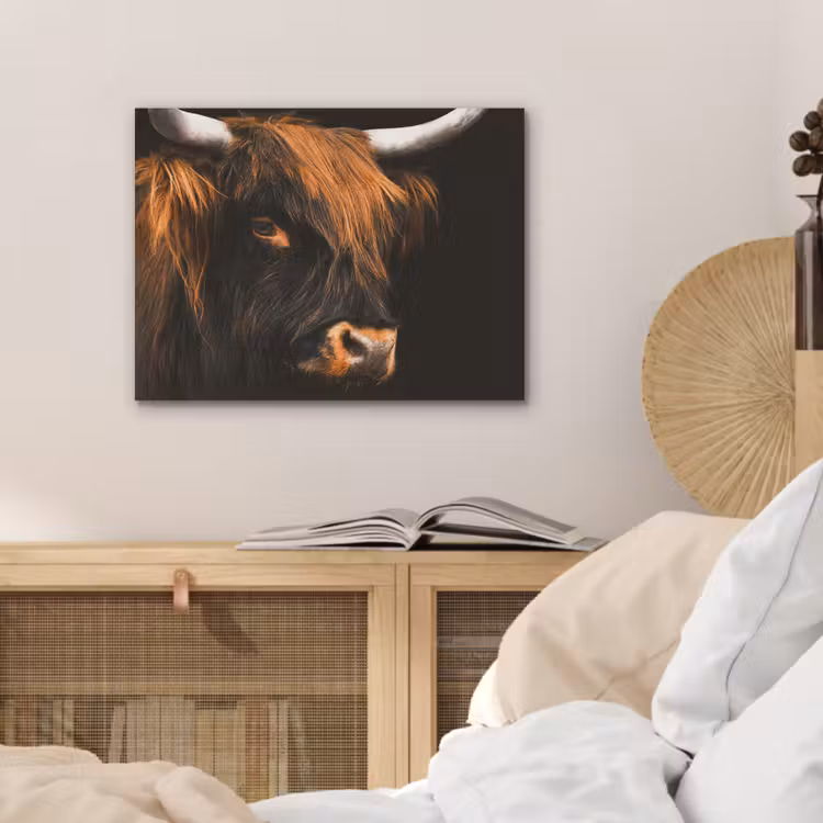 Schotse hooglander - Zwart - Koe - Hoorn - Dieren PET vilt klein -sfeer3