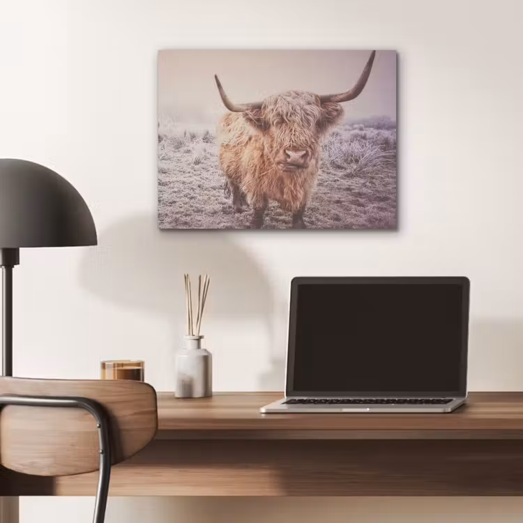 Schotse hooglanders - Licht - Lucht - Natuur PET vilt klein -sfeer5
