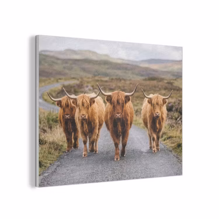 Schotse Hooglanders - Weg - Landschap - Kudde PET vilt klein -3d