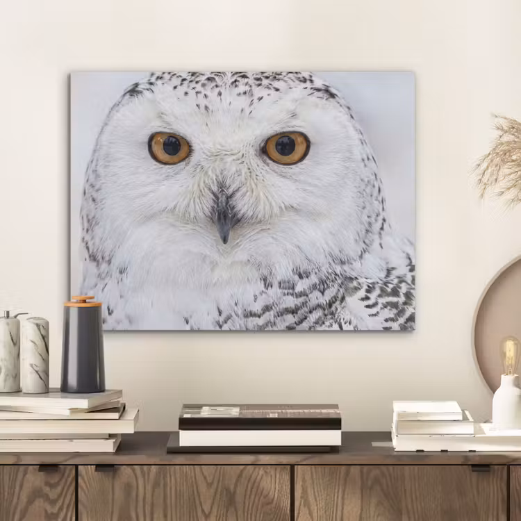 Sneeuwuil - Oog - Wildlife - Wit PET vilt klein -sfeer1