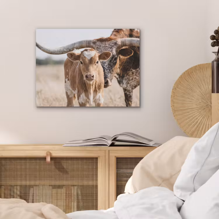 Texas Longhorn - Kalf - Weide - Dieren PET vilt klein -sfeer3