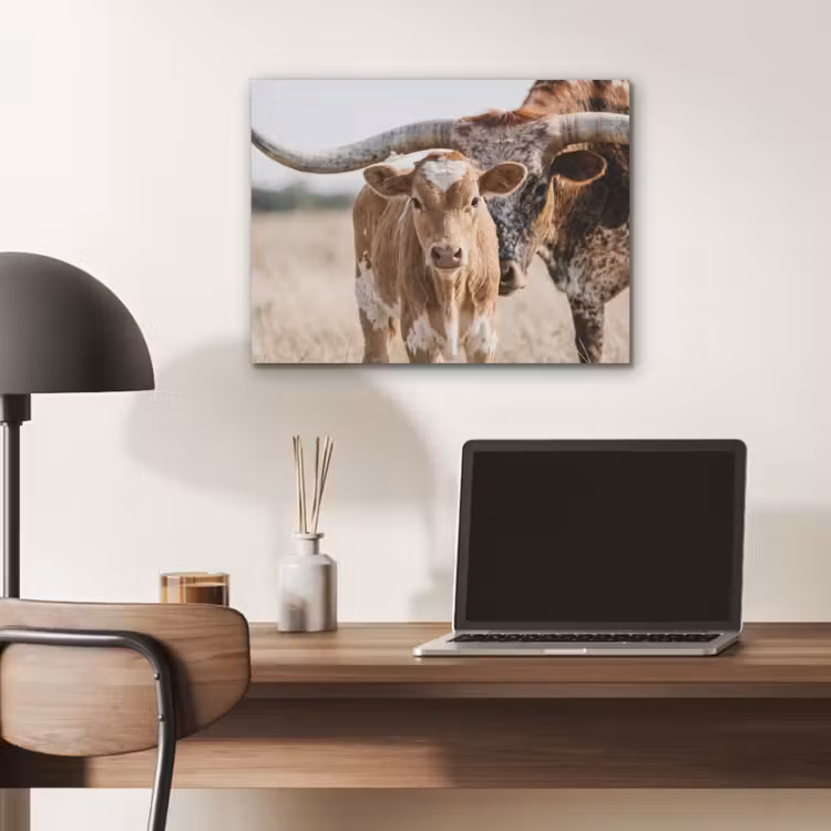 Texas Longhorn - Kalf - Weide - Dieren PET vilt klein -sfeer5