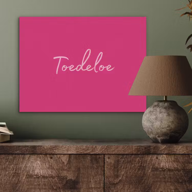 Toedeloe - Roze PET vilt klein -sfeer2