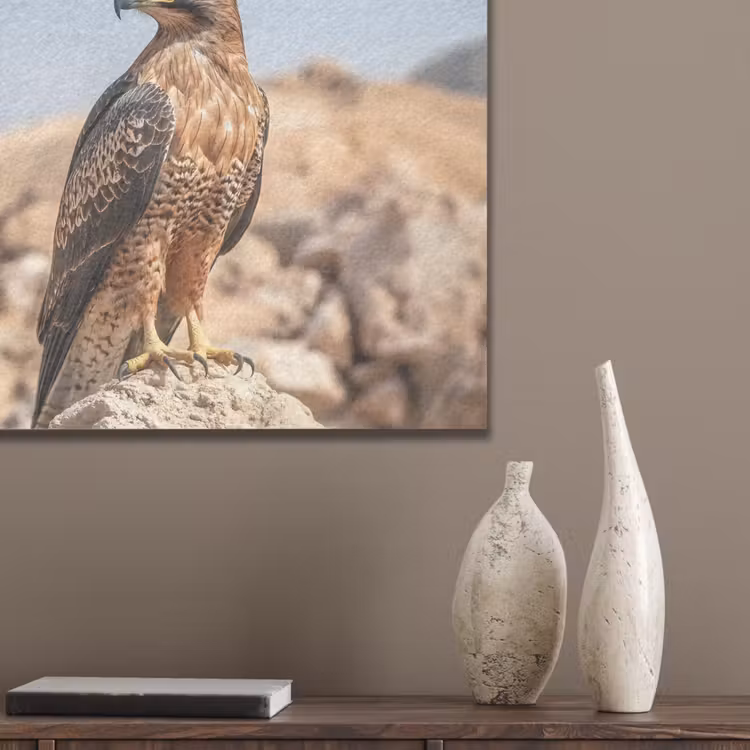Valk - Vogel - Rots - Macht PET vilt klein -sfeer6_closeup
