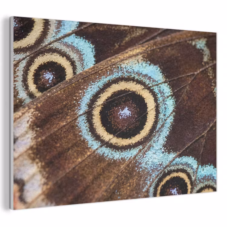 Vleugels - Vlinder - Blauw PET vilt klein -3d