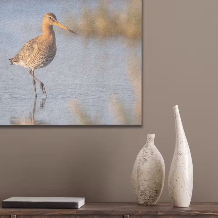 Vogel - Steltloper - Water - Natuur PET vilt klein -sfeer6_closeup