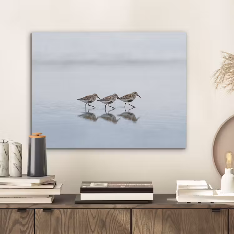 Vogels - Water - Grijs PET vilt klein -sfeer1