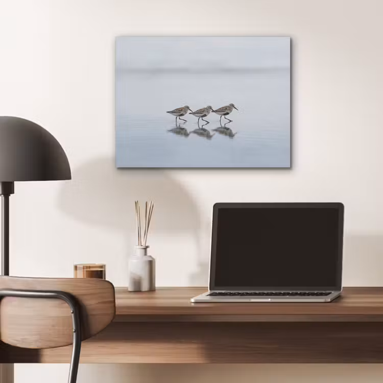Vogels - Water - Grijs PET vilt klein -sfeer5
