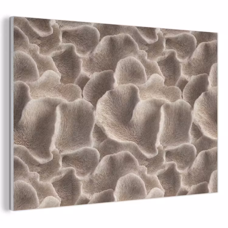 Waaiervorm - Beige - Vezel textuur PET vilt klein 837 -3d