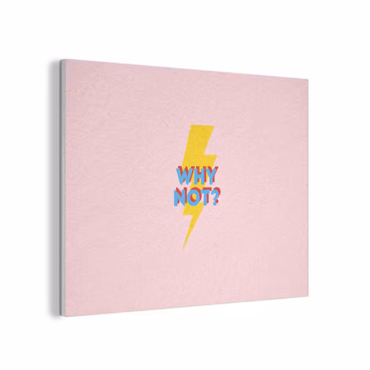 Why not - Bliksem - Roze PET vilt klein -3d