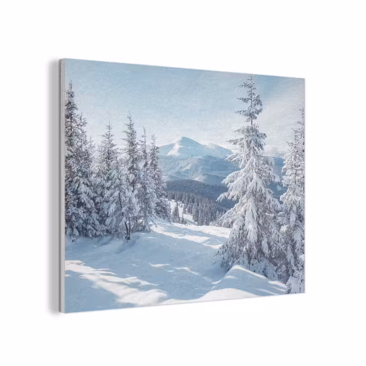 Winterlandschap - Natuur - Berg - Bomen - Sneeuw PET vilt klein -3d